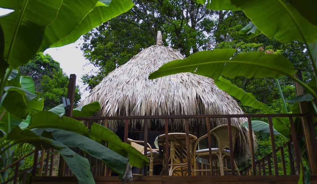 Tayrona Paradise Villa El Zaino Eksteriør bilde