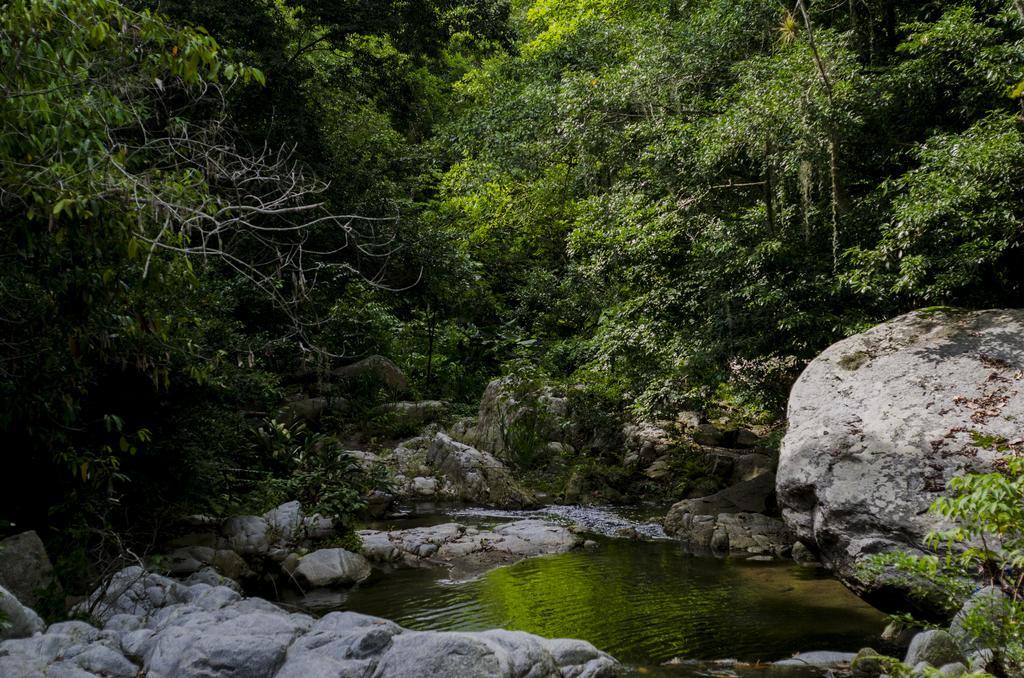 Tayrona Paradise Villa El Zaino Eksteriør bilde