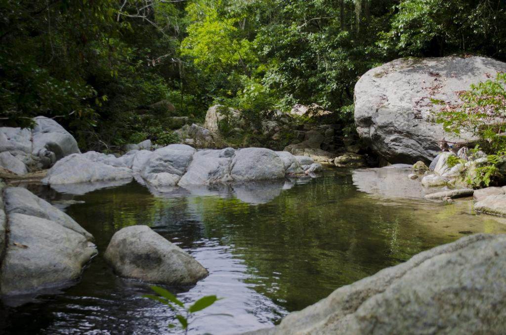 Tayrona Paradise Villa El Zaino Eksteriør bilde