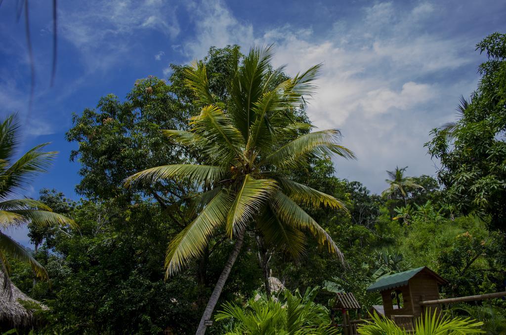 Tayrona Paradise Villa El Zaino Eksteriør bilde
